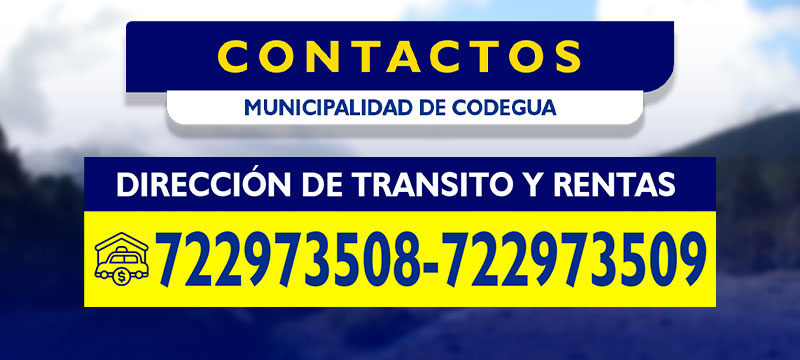 Dirección de tránsito y rentas